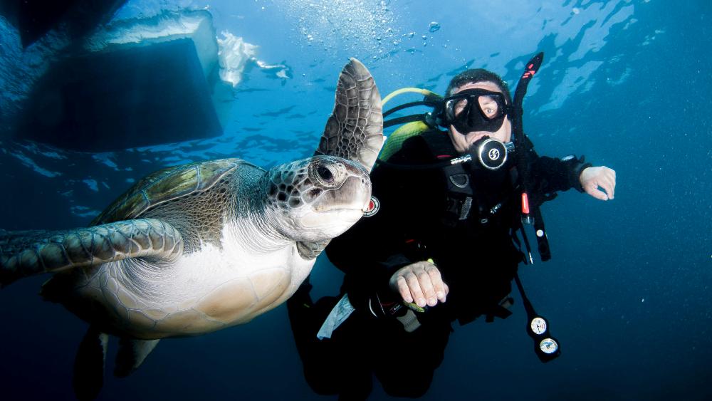 泰国四大潜水梦幻海岛,潜水游玩爱好者普吉岛