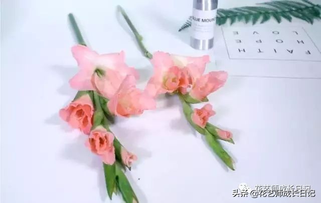 开花店花材损耗,花店新到花材如何打理