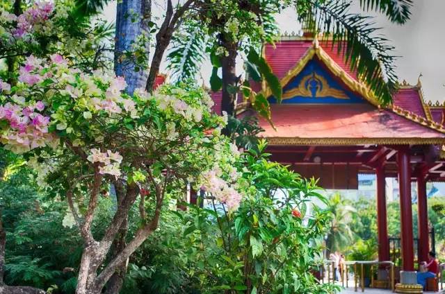 旅游达人总结全国的旅游陷阱,旅游坑人套路大揭秘