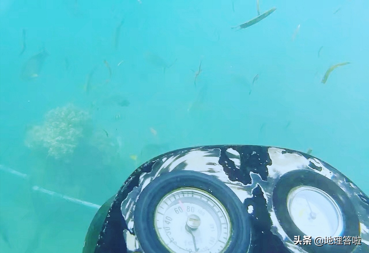 蓝梦岛潜水值得去吗,巴厘岛的潜水圣地蓝梦岛