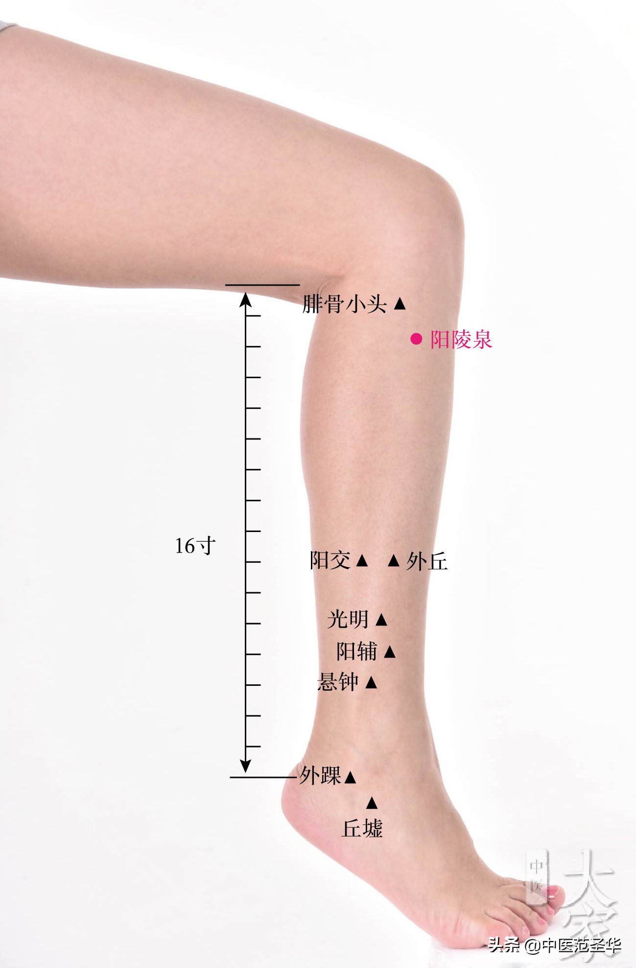 顽固性口苦奇效医案,黄帝内经怎么讲口干口苦的