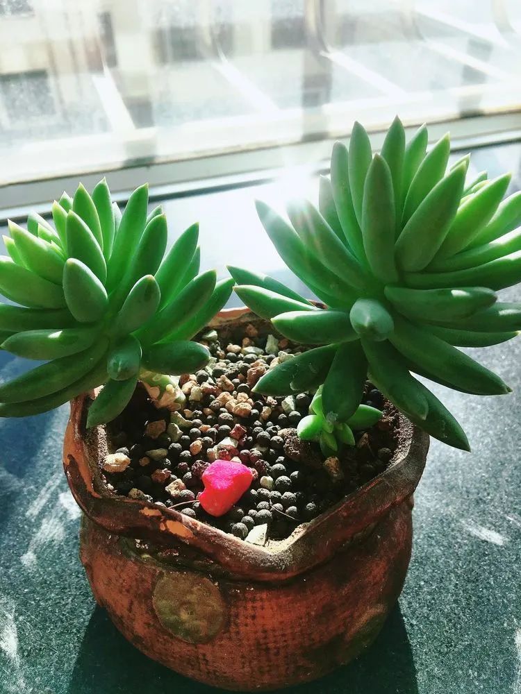 2021牛转乾坤砥砺前行,2021年牛转乾坤时来运转