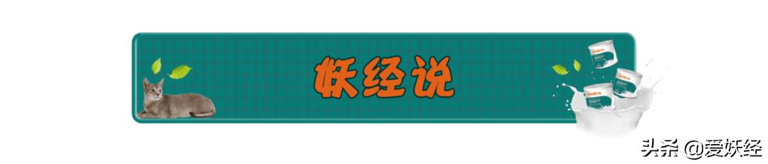 修正宠物羊奶粉测评,reddog红狗羊奶粉测评