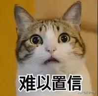 老司机快上车方法,老司机上车步骤