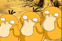 这60种罕见动物你见过几个,60种灭绝的动物