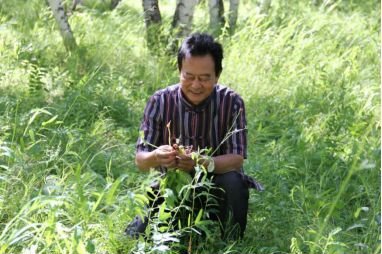 传承与弘扬苗医药,传承苗医