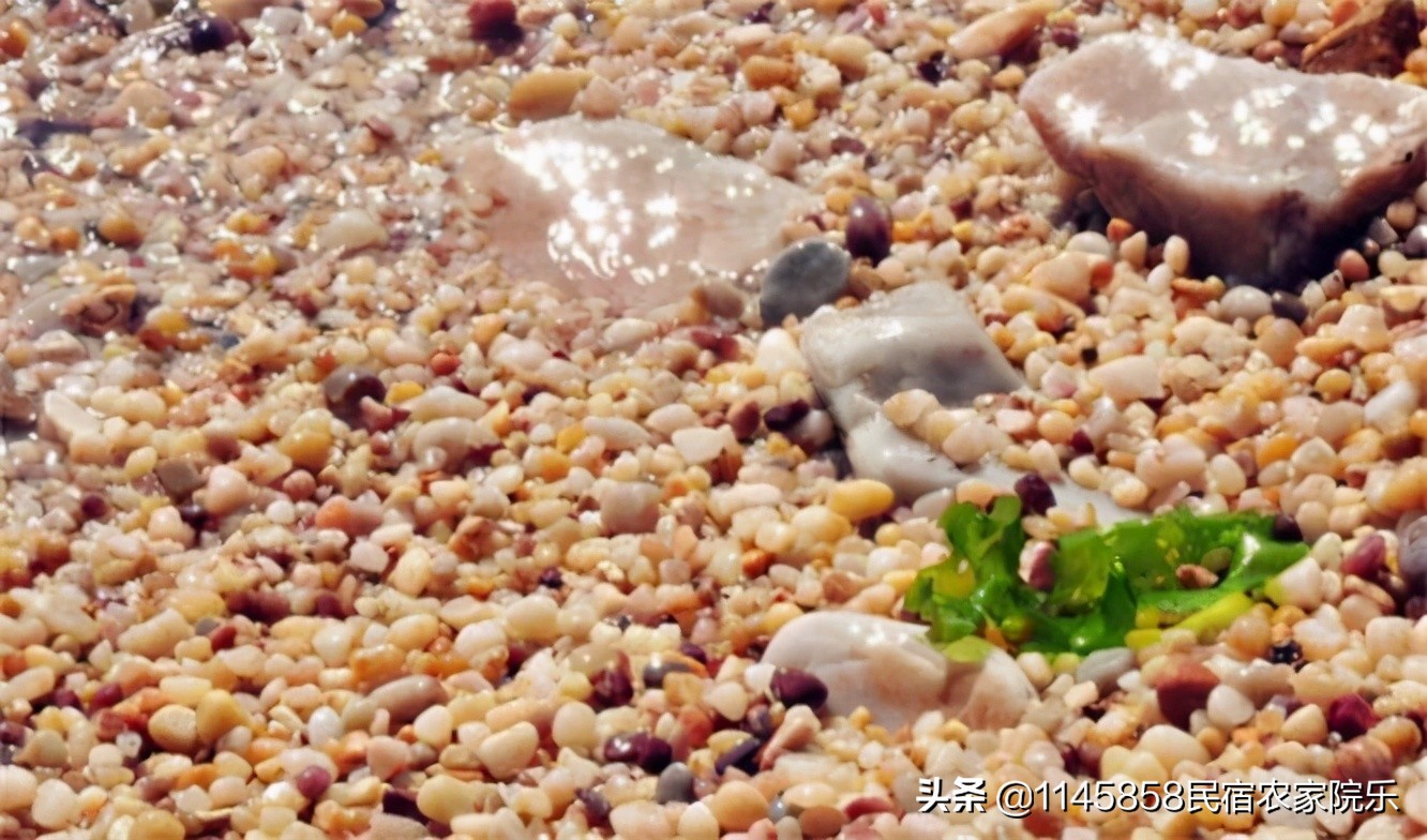 长岛老林渔家,山东长岛渔家乐