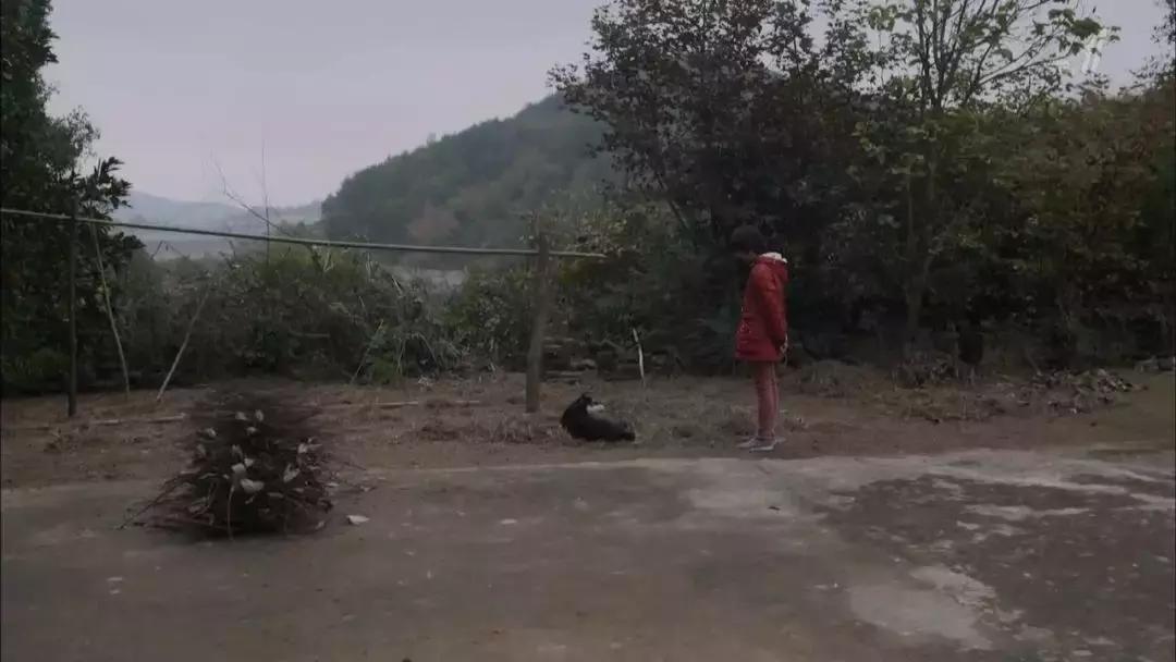 从留守儿童到三和大神,中国穷人为什么会陷入穷循环?