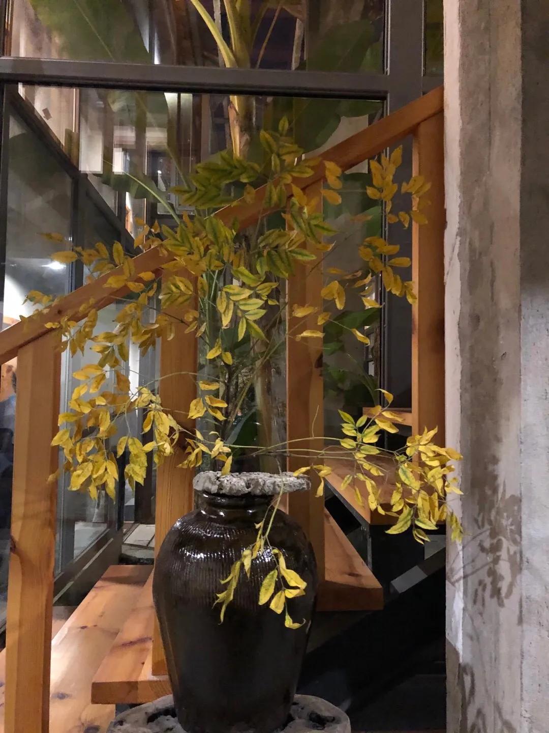 美即是正义是什么梗,美即是医用面膜吗