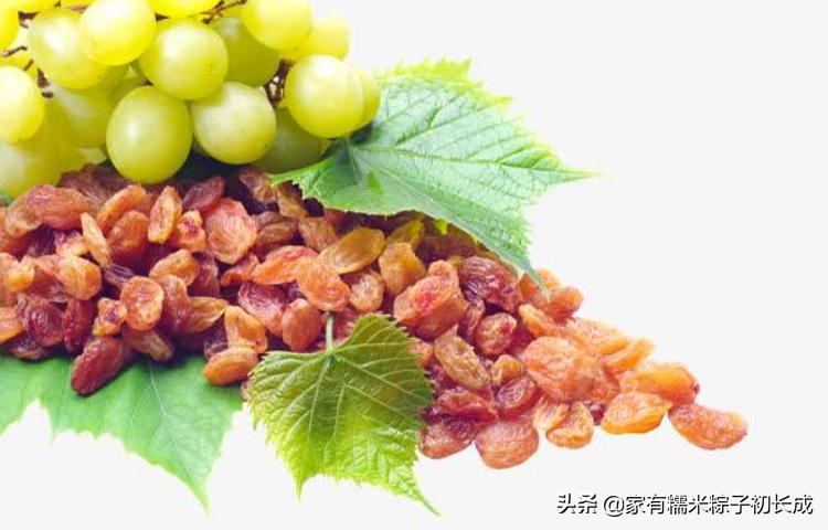 养猫咪不可以吃什么,养猫最好牢记七不要对猫咪有好处