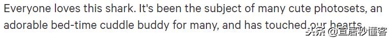 宜家小鲨鱼,为什么宜家鲨鱼火了