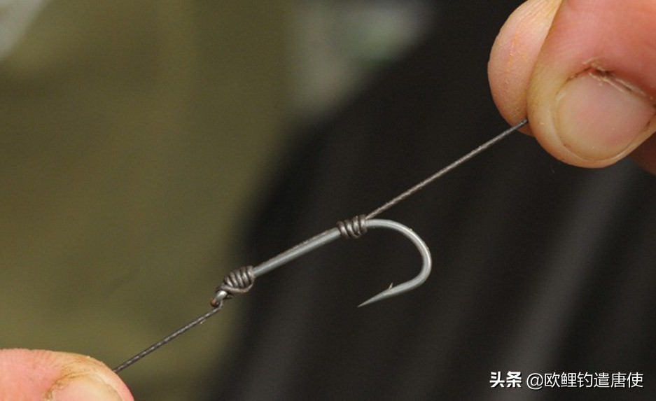 欧鲤钓钓组篇,欧鲤钓组和飞德钓组