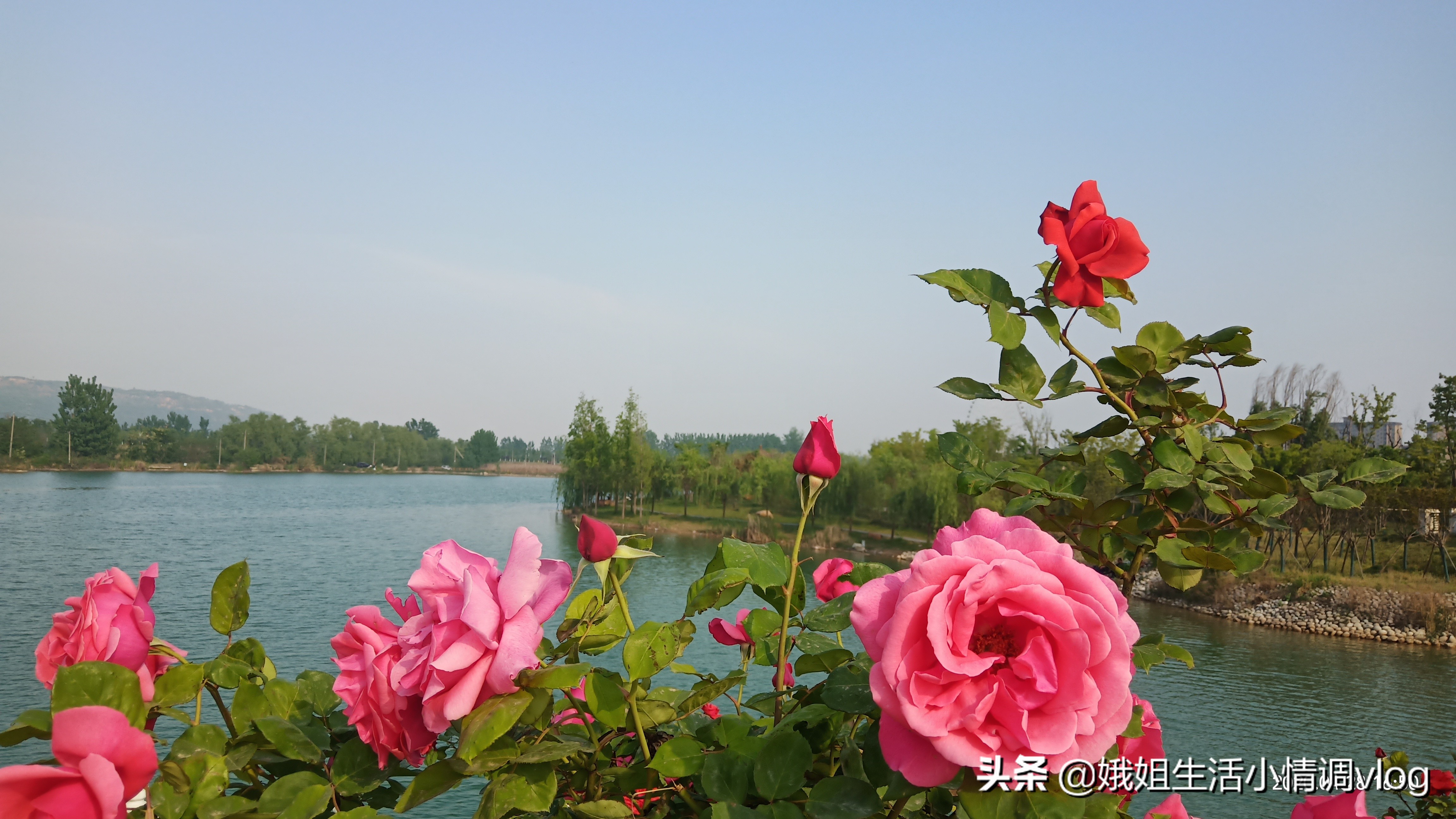 陕西眉县撤县最新消息,眉县撤县设市最新信息