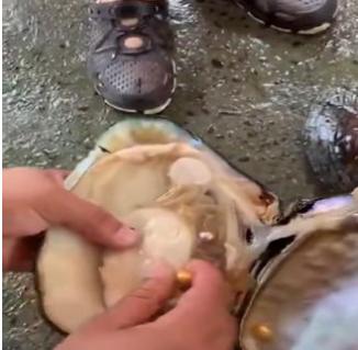 四种现场加工*局骗**，展会上看到后，有多远离它多远。