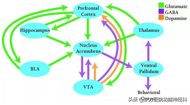精神病人的前世,精神科药物的前世今生