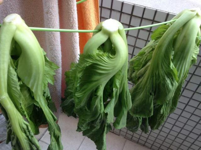 腌菜的腌菜坛子长霉是怎么了,腌菜发霉怎么处理