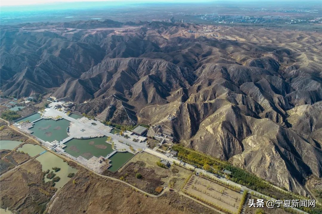 青铜峡鸟岛介绍,青铜峡鸟岛自然保护区能进吗