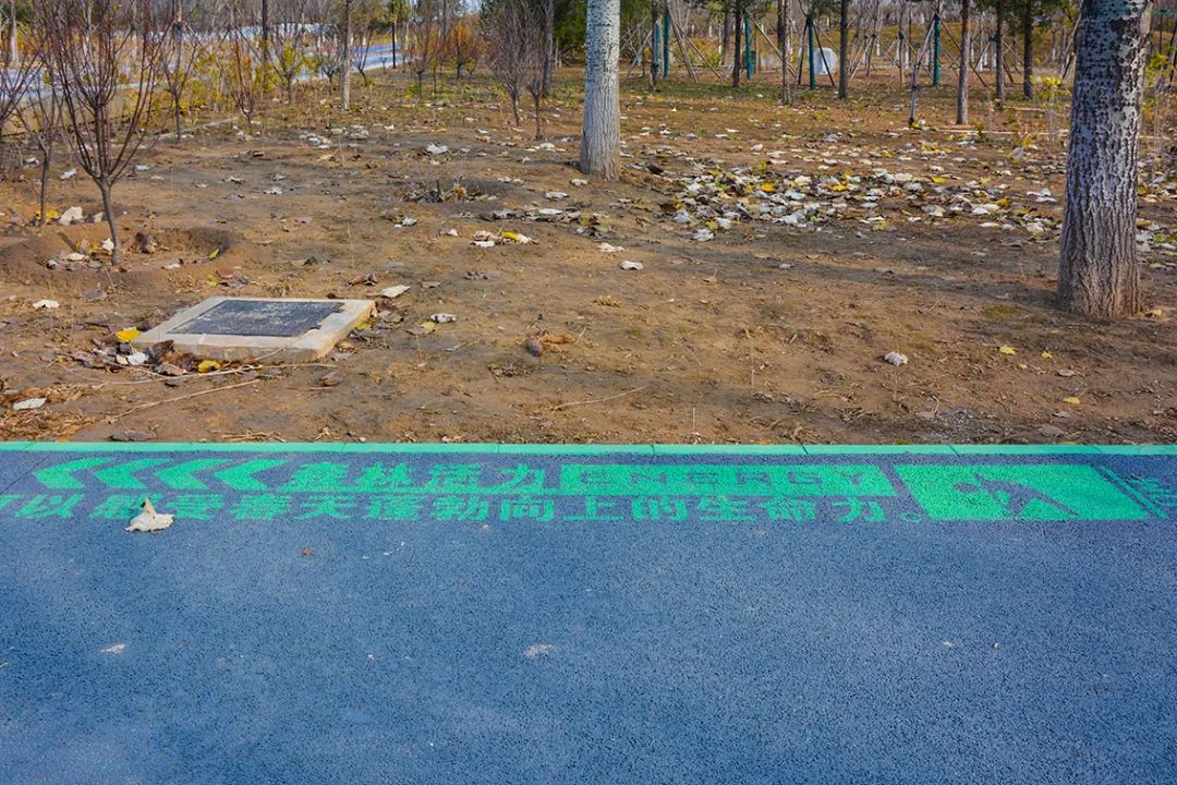 北京新开40个公园在哪里,北京十佳公园