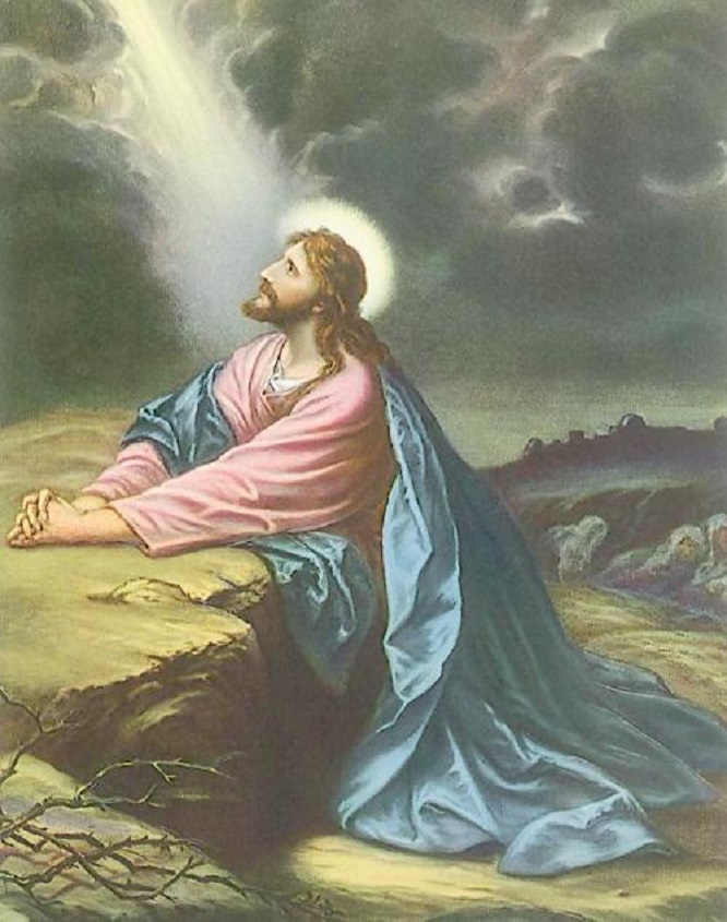 欧洲宗教改革后的变化有哪些,选修一欧洲宗教改革