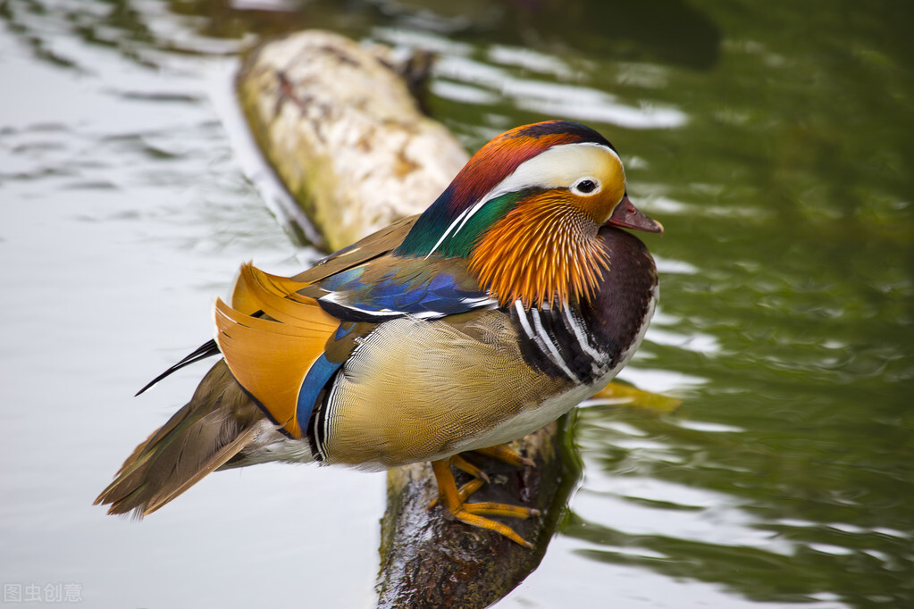 成语负荆请罪的历史人物,成语负荆请罪的意思解释