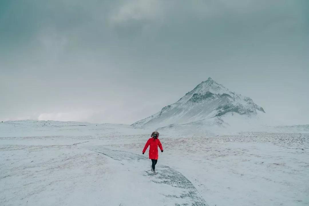 加拿大鹅既要风度又要温度,加拿大鹅冬天怎么保暖的