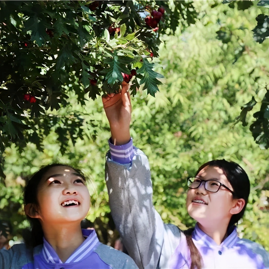 北京所有小学排名一览表,北京30所小学排名一览表