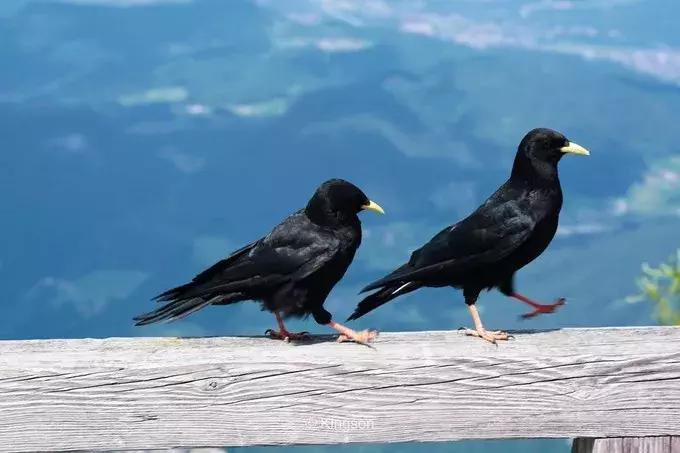 体验师徐凯德瑞意奥之旅（四）——走进中欧的童话国度