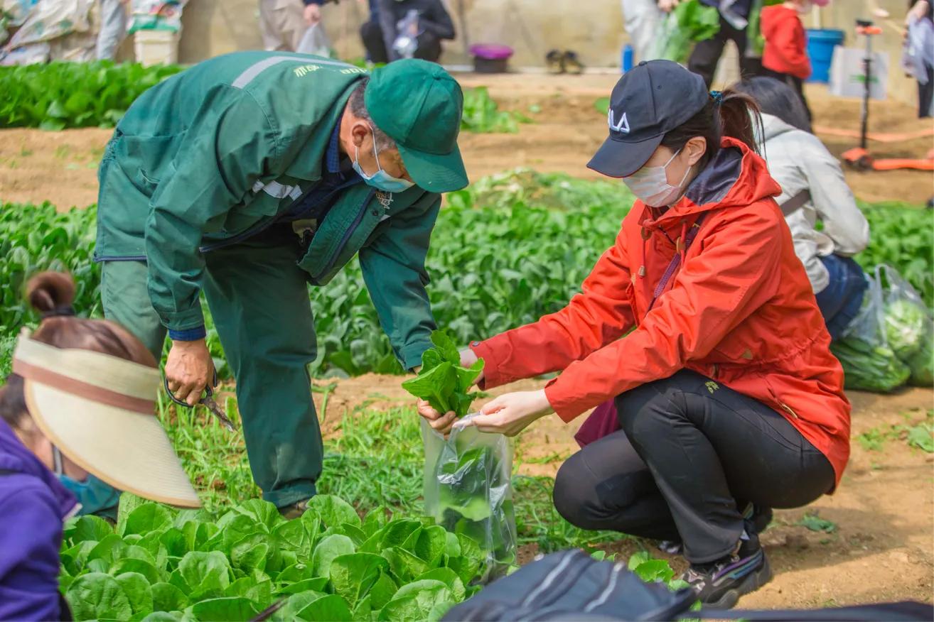 三寰牧场启动春耕节，别样活动促进后疫情时期文旅经济复苏
