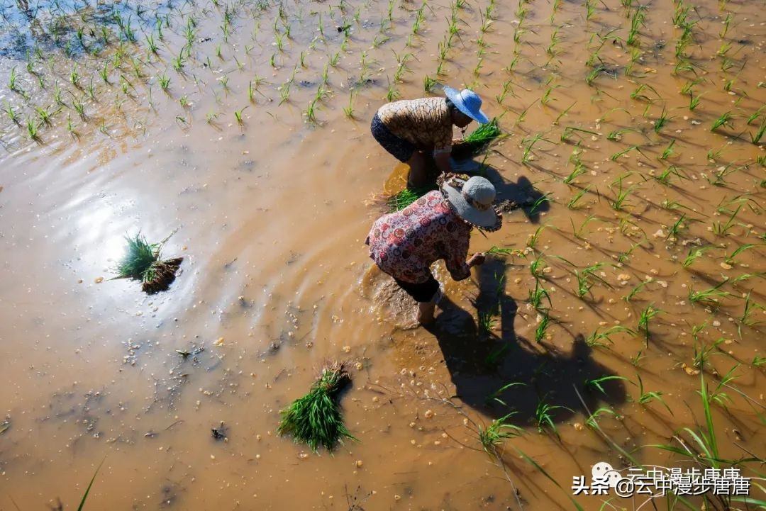四川岳池黄龙水库,岳池黄龙杨家沟水库