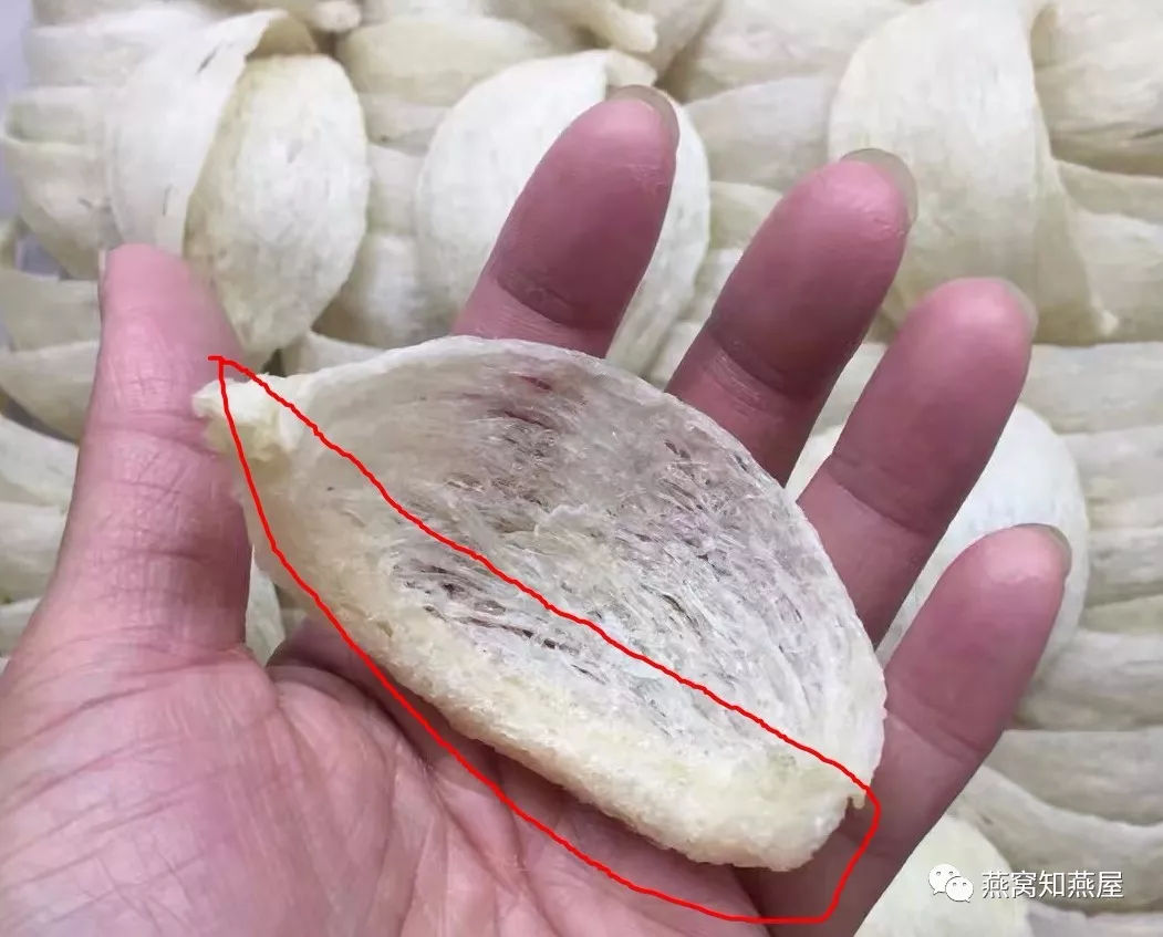 怎样看燕窝刷胶,刷胶的燕窝口感如何