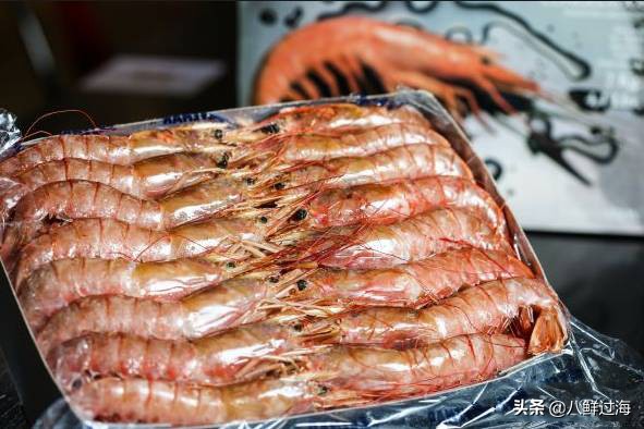 阿根廷红虾价格走低,阿根廷红虾捕捞最新