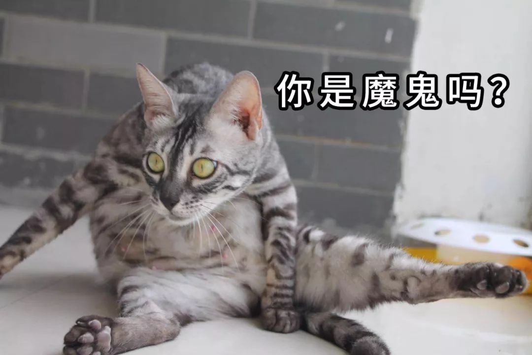 坐庄5年巨亏10亿炒股,股票坐庄骗局手法