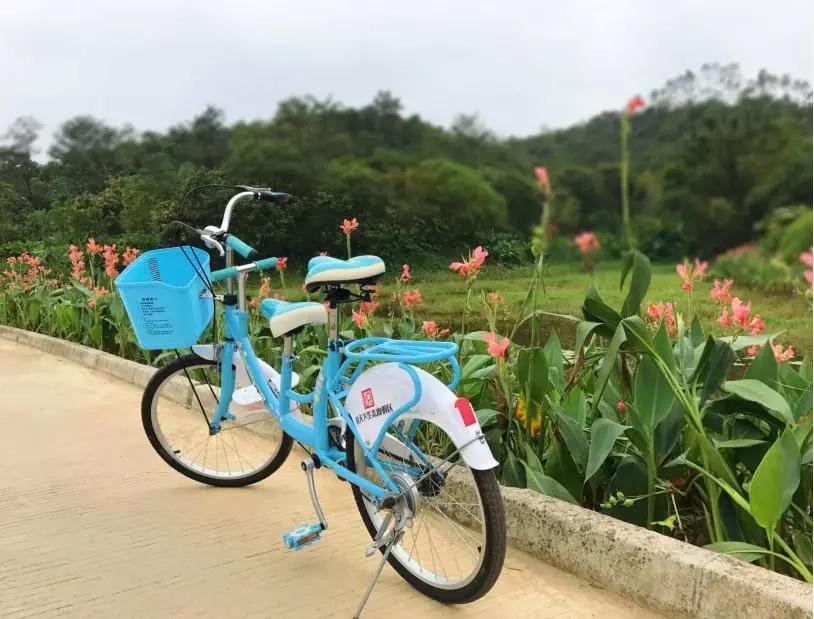 云浮威尼斯水城,云浮新兴水上威尼斯