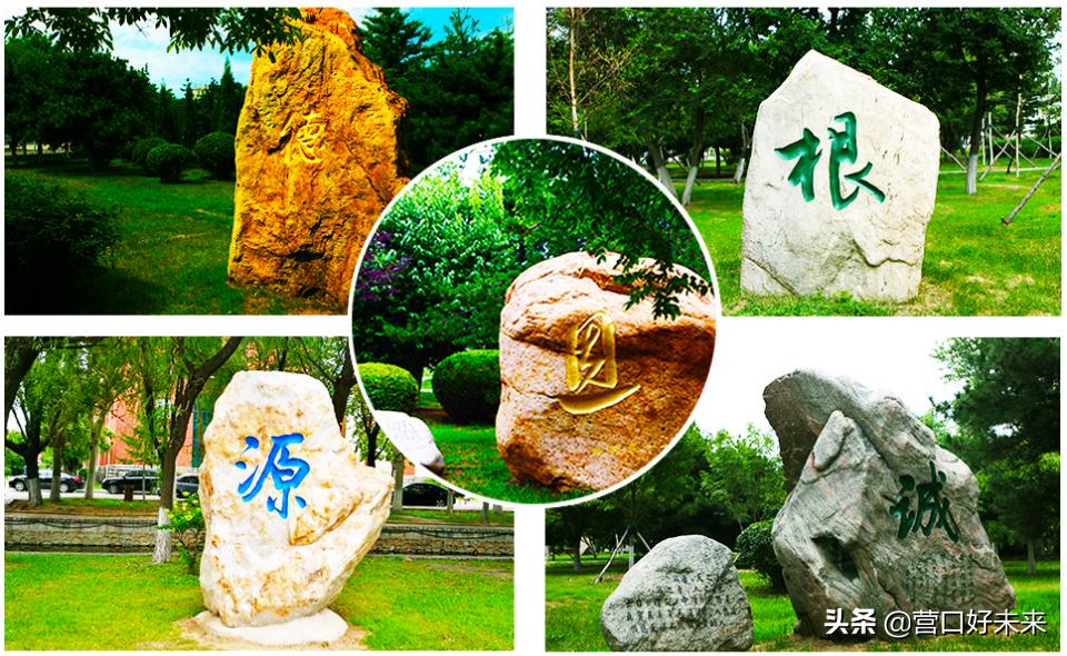 沈师复试通知,沈师现在让进吗