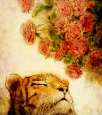 淘宝搜索权重的变化,淘宝搜索权重妙招是什么