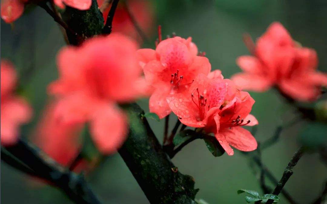 云浮_4月19日天露山的临死体验与明年一定再来