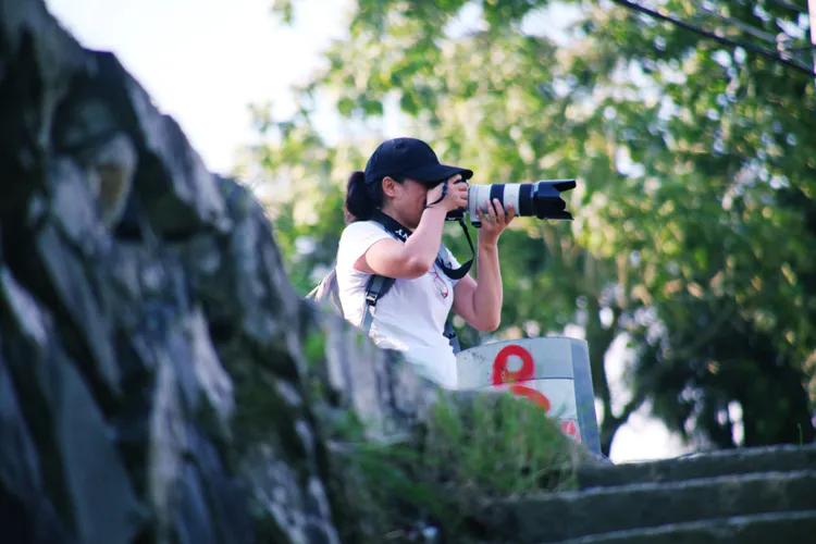 尼康入门单反,单反快速入门攻略