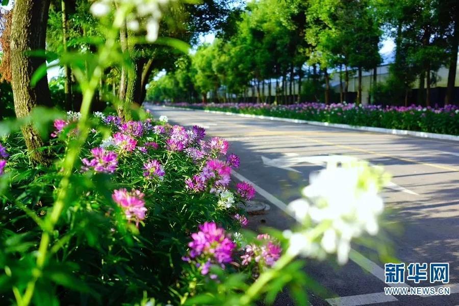 云南嵩明县未来发展规划,昆明滇中新区嵩明县发展新信息