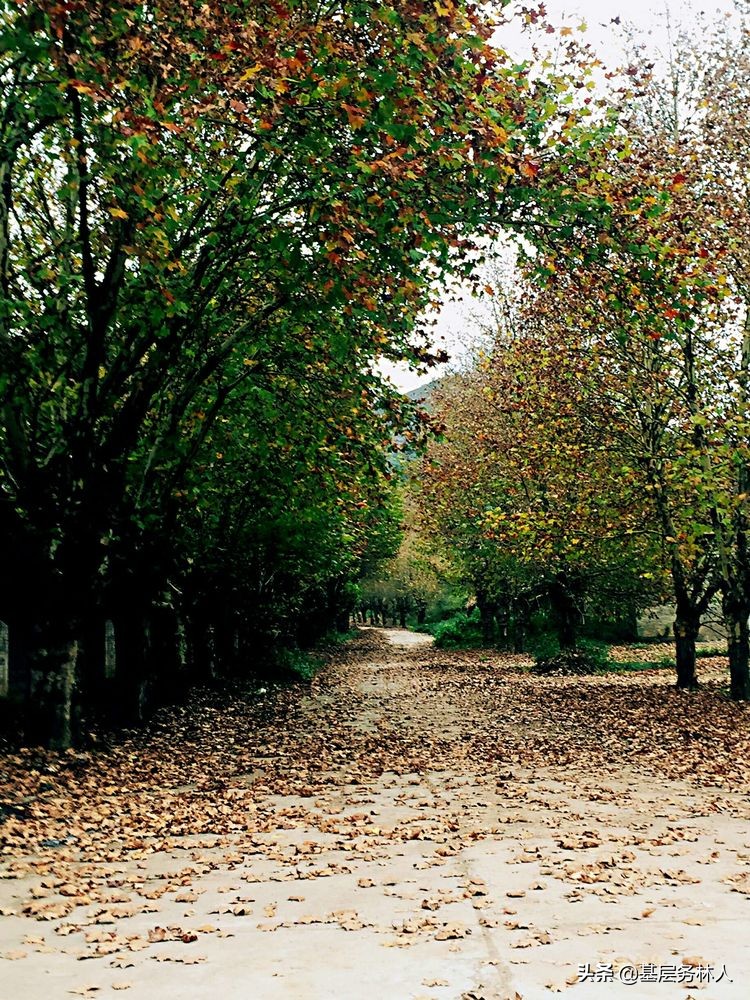 云南澄江兵工厂,云南兵工厂旧址