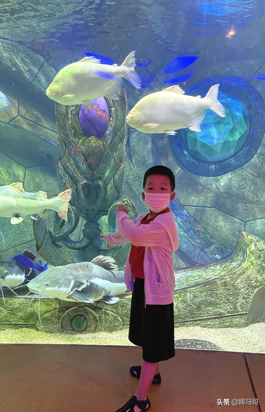 三亚避雷防坑攻略,三亚亲子游攻略亚特兰蒂斯