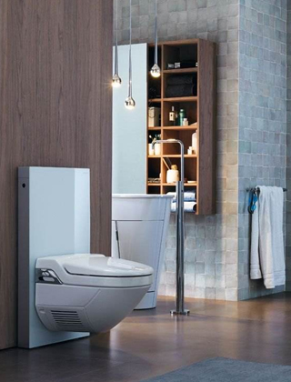 有人买智能马桶后悔的吗,大家有必要购买智能马桶吗