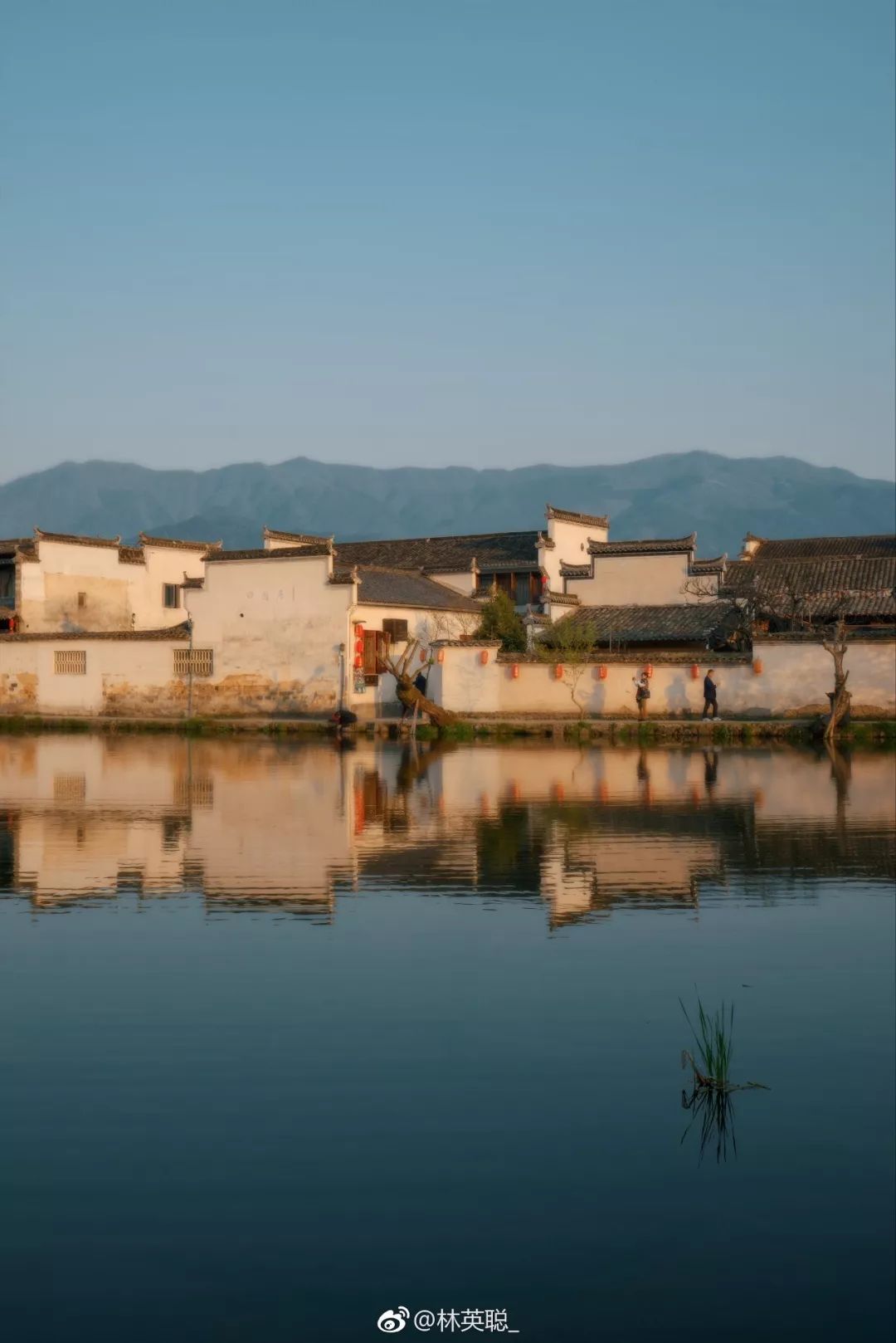 婺源油菜花一日游旅游攻略,婺源油菜花旅游攻略