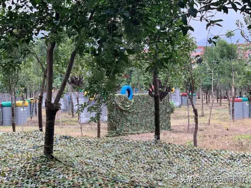 雄鹰劲旅国防教育基地军事特训营2020掠影