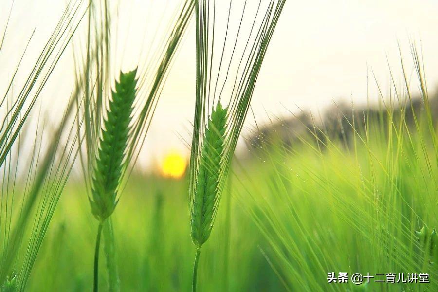 孩子是父母活下去唯一的希望,孩子为自己而活读书