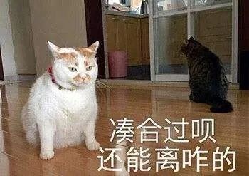 大佬娶媳妇：娶对了胡润登顶，娶错了净身出户