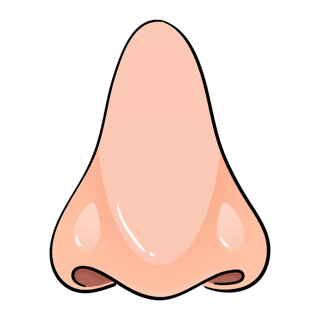 鼻头缩小手术真实案例,鼻头缩小手术风险大吗有后遗症吗