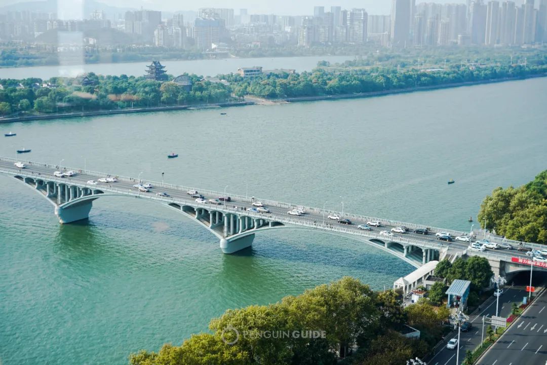 去长沙不为别的就想听茶颜悦色,去长沙点哪个茶颜悦色