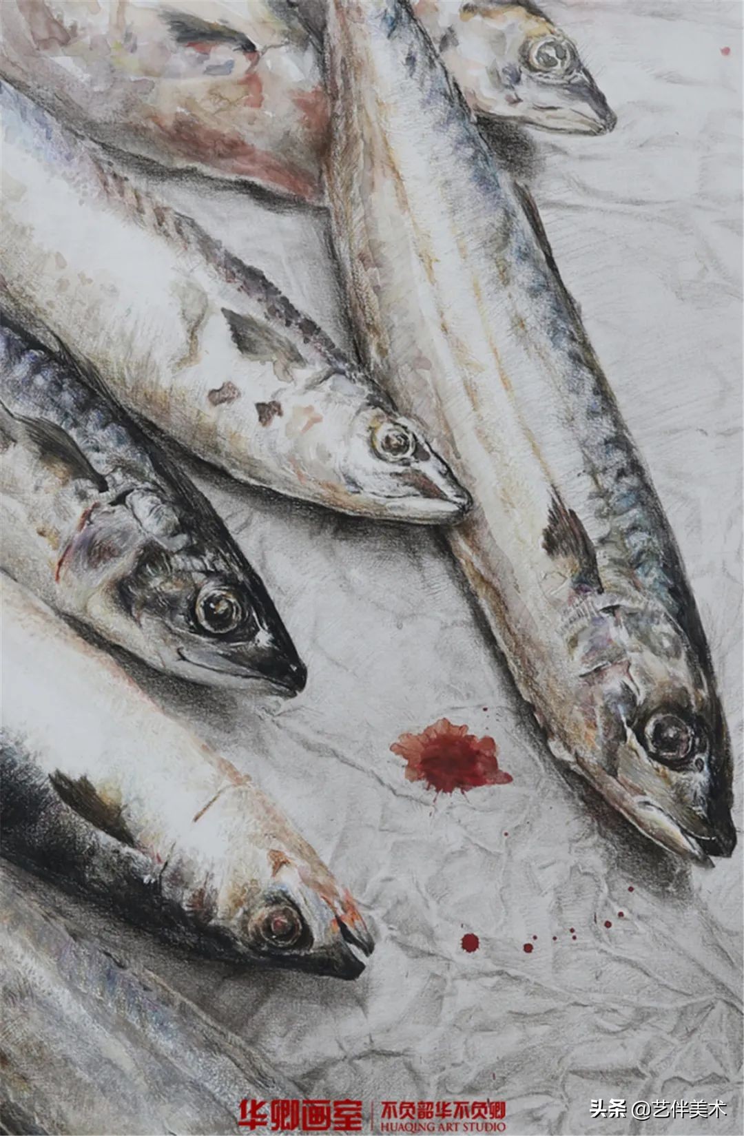 北京华卿画室2023成绩,在北京华卿画室参加美术培训好吗