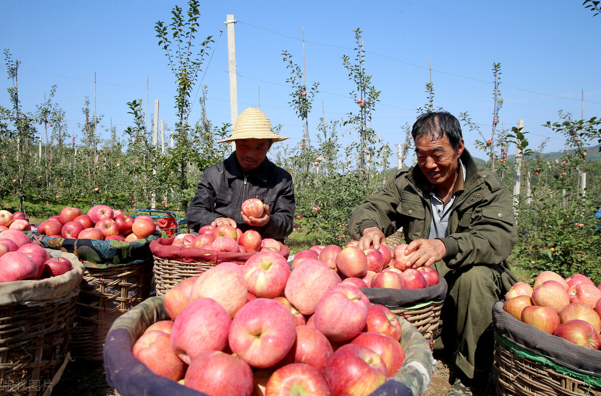 国家为什么要大力发展郑州,灵宝地级市规划