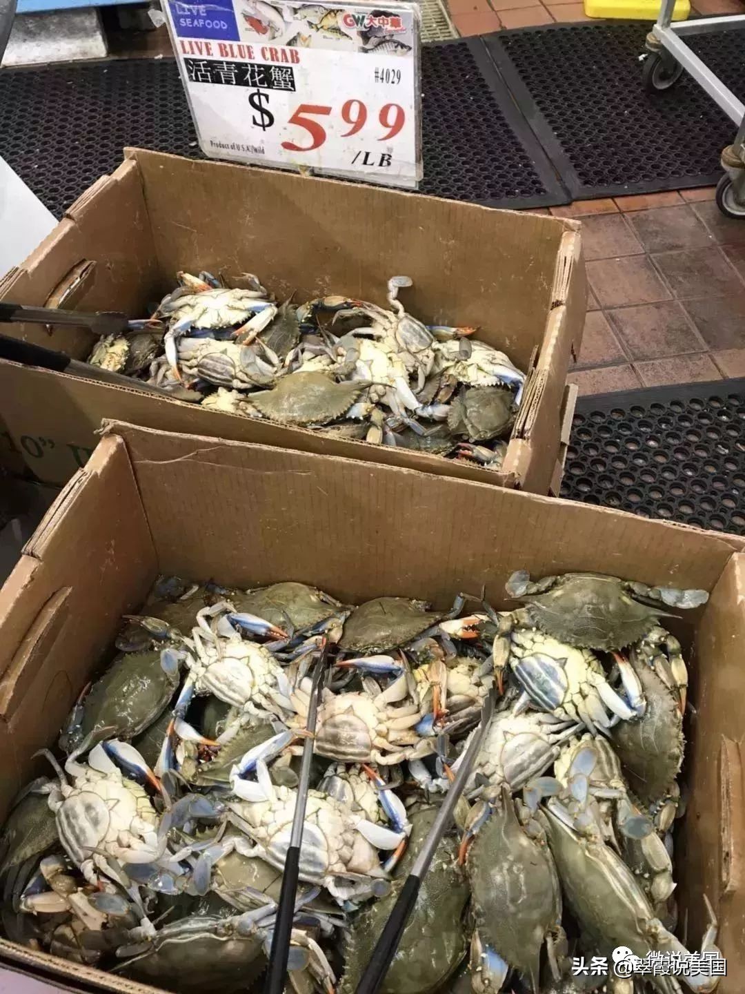 翠霞带你看看美国不同种类的超市